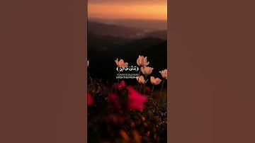 الآية 56 من سورة الاحزاب القارئ بيشه وا الكردي