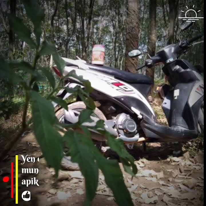 Story WA//joko tingkir New Monata