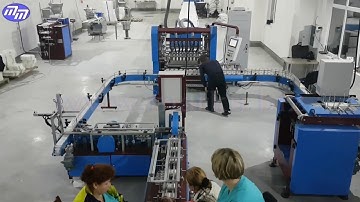 Automatic cube sugar making machine, packaging in 333 gr. boxes, cube sugar machine