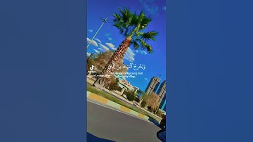 #آيات_تفيض_جمالا_وسكينة_وتلامس_القلوب#أبو_غيث