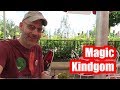 Lunch with a View! Magic Kingdom Walt Disney World, Sept 2018 Day 4, Part 1!