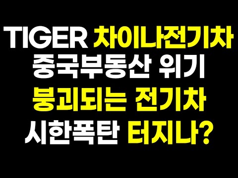   차이나전기차 답답하시죠 중국 위기 악재속에 나는 어떻게 해야 할까