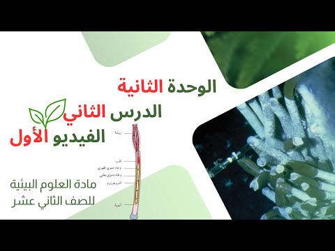 الوحدة الثانية الدرس الثاني العلوم البيئية للصف الثاني عشر