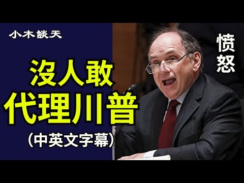 川普律师悲壮感言：没有律师敢代理川普，恐惧和取消文化让大律师事务所沉默，律师的勇气在哪里【中英文字幕】【小木谈天】