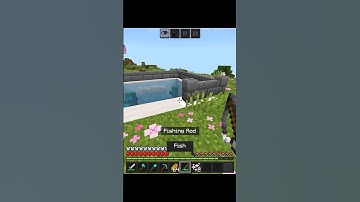 Minecraft Noob vs Pro vs Hacker in fishing... #shorts #minecraft #noobvsprovshacker