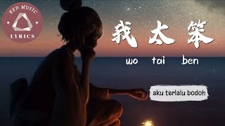 我太笨 wo tai ben [aku terlalu bodoh] || chui na li sa | [lyrics] terjemahan indonesia 🎼