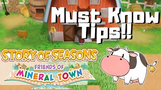Story of Seasons: Friends of Mineral Town- TIPS +  BEGINNER GUIDE