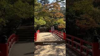 Best fall foliage park in Miyajima