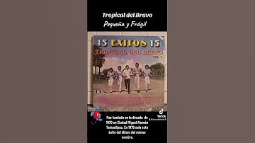 Thumbnail of Tropical del Bravo. Pequeña y Frágil.