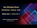 اغاني اثيوبية بدون موسيقى Without Music Sertsebirhan Tadesse Anele New Ethiopian 