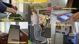 МОЯ РУТИНА СЕЙЧАС / привожу тело в порядок, моё питание, учёба и уход за собой