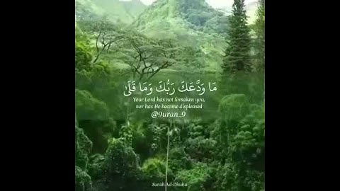 ما تيسر من سورة الضحى | حالات واتس إيمانيه 8 |