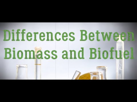 Differences Between Biomass and Biofuel