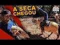 A seca Chegou - Cuidando do Gado -