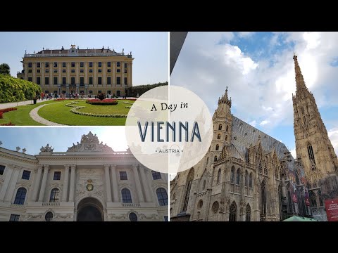 Video: Bagaimana Untuk Mendapatkan Bola Vienna