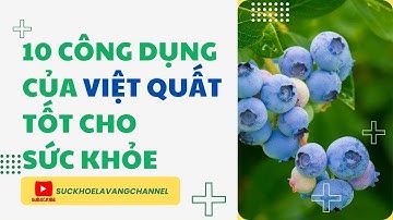 Quả Việt Quất & 10 Công Dụng Tốt Cho Sức Khỏe | Sức Khỏe Là Vàng