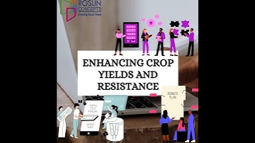 🎯 Understanding Customer Buying Behavior: The Roslin Concepts Approach to Digital Marketing