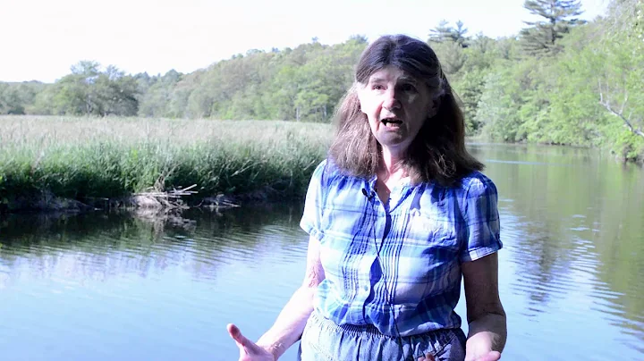 Voices of the Taunton River - Interview with Prisc...