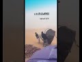 ضحك طارت خيمتهم