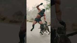 Happened. K9 Took Me Out To Win The Race