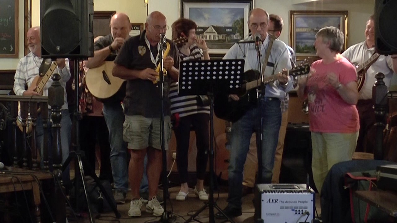 The Dementos plus The Dementoids -  'In The Summertime' - Old Hall Tavern July 2017