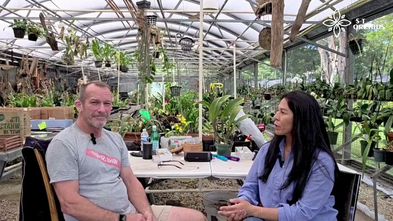 🌸 How to Care for Your Orchids? 🌸