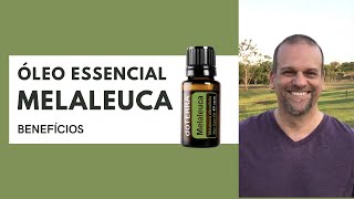 Óleo Essencial de Melaleuca (Tea Tree) - Benefícios | Você é Essencial