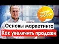 Основы маркетинга для начинающих. Маркетинговая стратегия. Как увеличить продажи