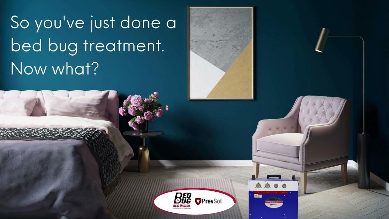 What to expect after bed bug treatment short YouTube