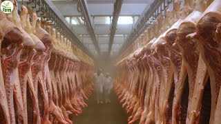 German Pig Farm - How to mass process pigs for export in Germany? | German Pork Factory