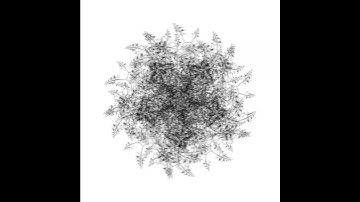 Sacred Geometry