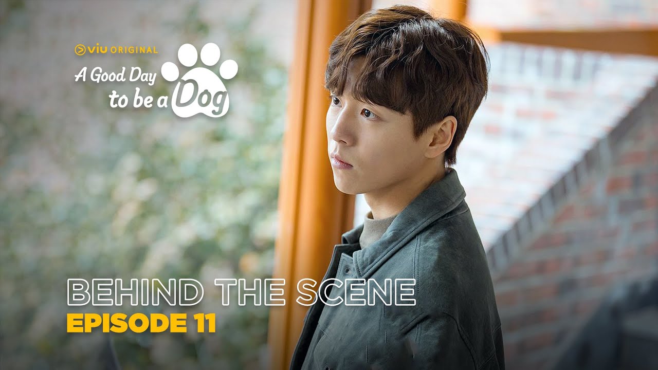 A Good Day To Be A Dog | Behind The Scene EP11 | Cha Eun Woo, Park Gyu Young, Lee Hyun Woo