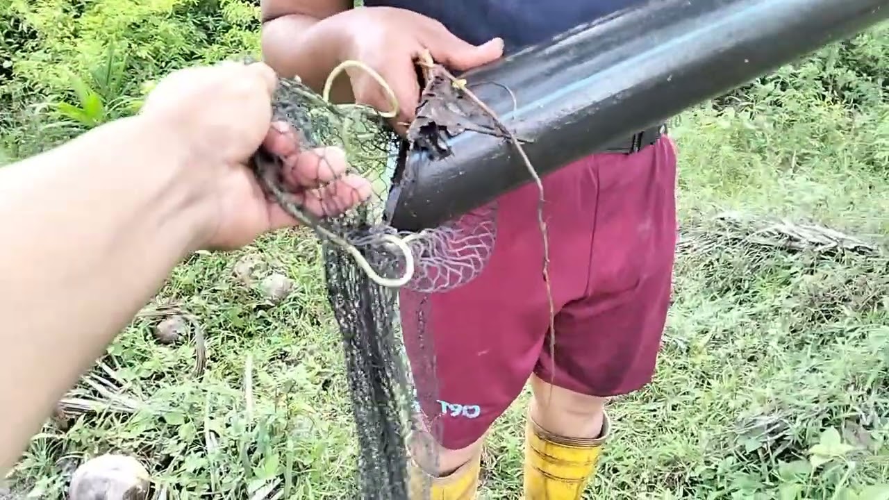 Ternyata parit kecilpun sarang belut👍