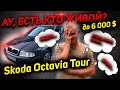 ПЕРЕКУПЫ VS АВТОПОДБОРЩИКИ .В ПОИСКАХ ЖИВОЙ SKODA OCTAVIA TOUR 2.0 ГАЗ, 5000-5500 $ АВТОХЛАМ ПОДБОР