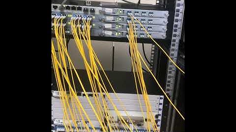 WDM module transmission connection