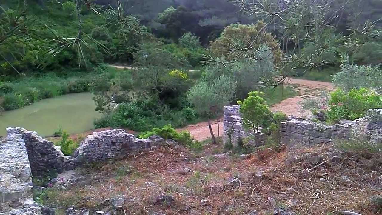 Petit étang vers Ollioules YouTube