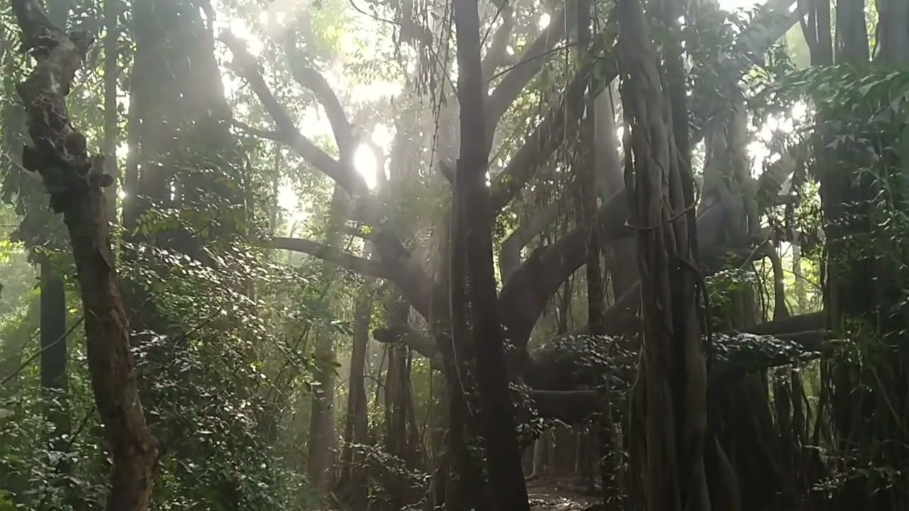 Alice Garden Pune University Campus | SPPU Campus