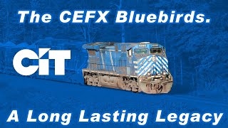 The Cefx Bluebirds.