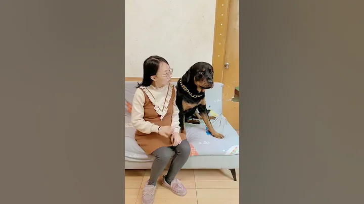 有狗仗人勢欺負人的，還有人仗人勢欺負狗的😂#向威和一坨 #狗狗 - 天天要聞