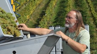 Austrian Wine Revolution - Ewald Zweytick