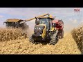 CHALLENGER MT740 Tractor Moving the Corn Harvest