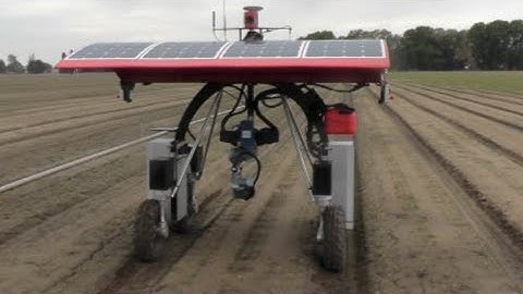 Australian Weed-Killing Robots: New machinery could change face of farming