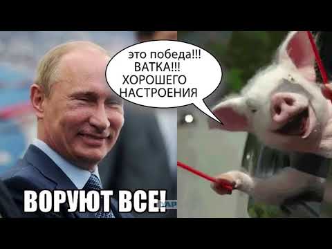 ПРАЗДНИК ПАТРИОТА ГОСДУМА в первом чтении ОДОБРИЛА ПОВЫШЕНИЕ пенсионного возраста