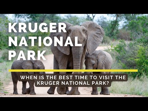 Video: Il momento migliore per visitare il Kruger National Park