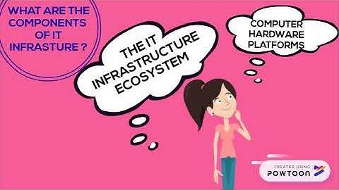 MIS CHAPTER 5 IT infrastructure and emerging technology USAS