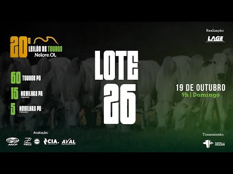 LOTE 26 A6302 PO - 20º Leilão de Touros Nelore OL