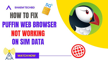 How to Fix Puffin Web Browser Not Working On Sim Data