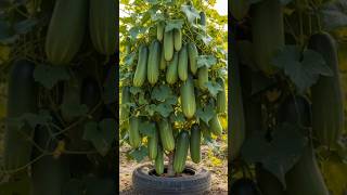 Unlimited Cucumbers on One Plant?! 😱🥒 #shorts
