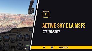 Active Sky Fs Dla Mfs 20202024 - Czy Warto? Subiektywna Opinia