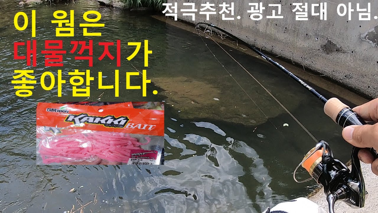 평소 사용하지않던 장비와 웜에 엄청난 대물꺽지가 물어줬다. Lure fishing